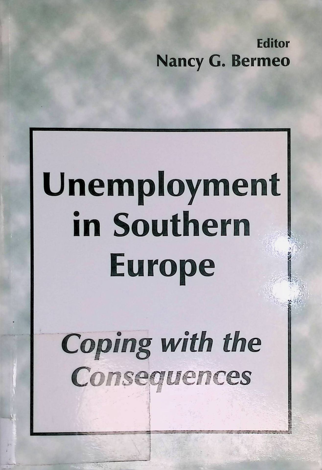 Unemployment in Southern Europe: Coping with the Consequences