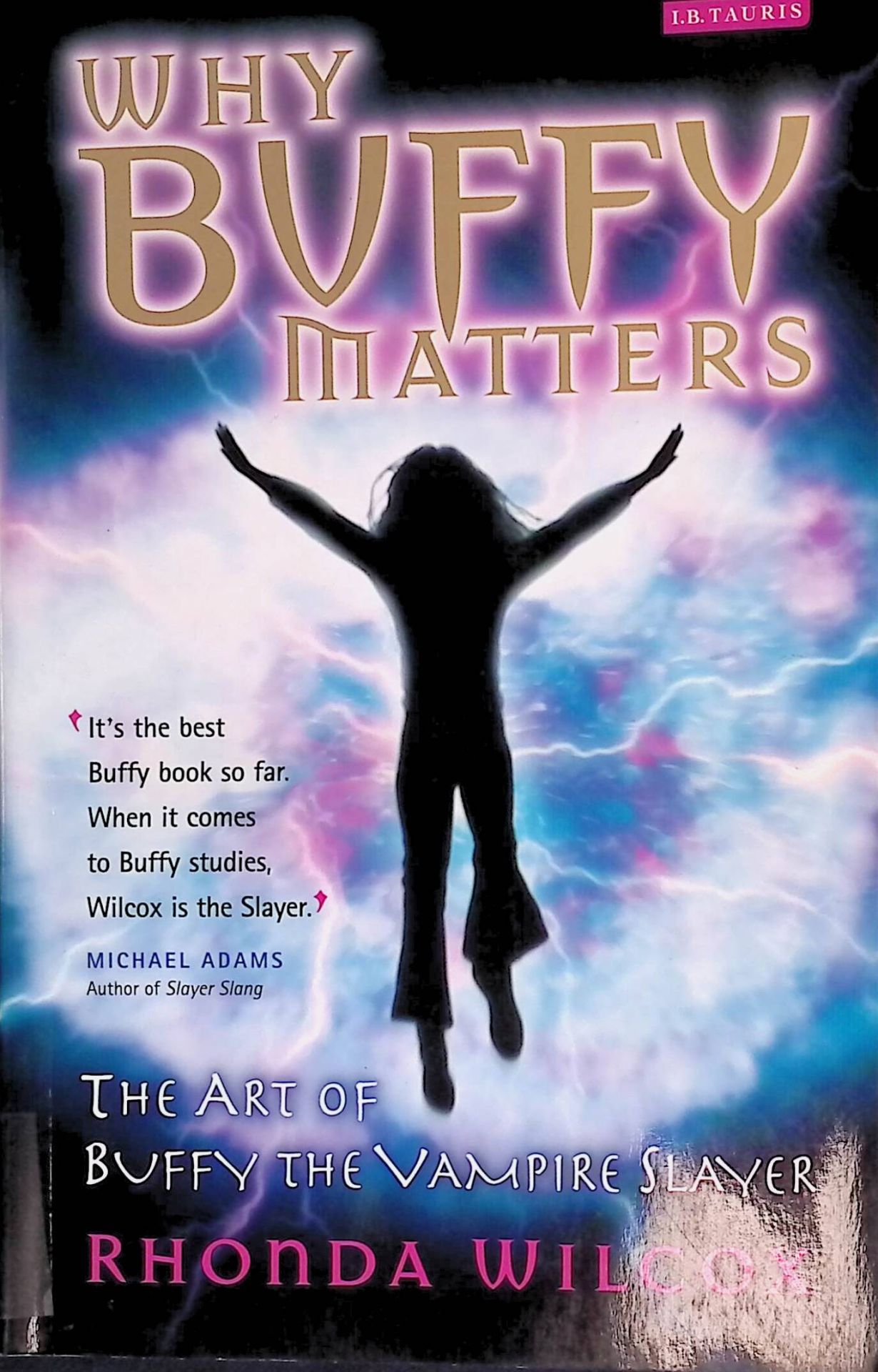 Why Buffy Matters: The Art of Buffy the Vampire Slayer