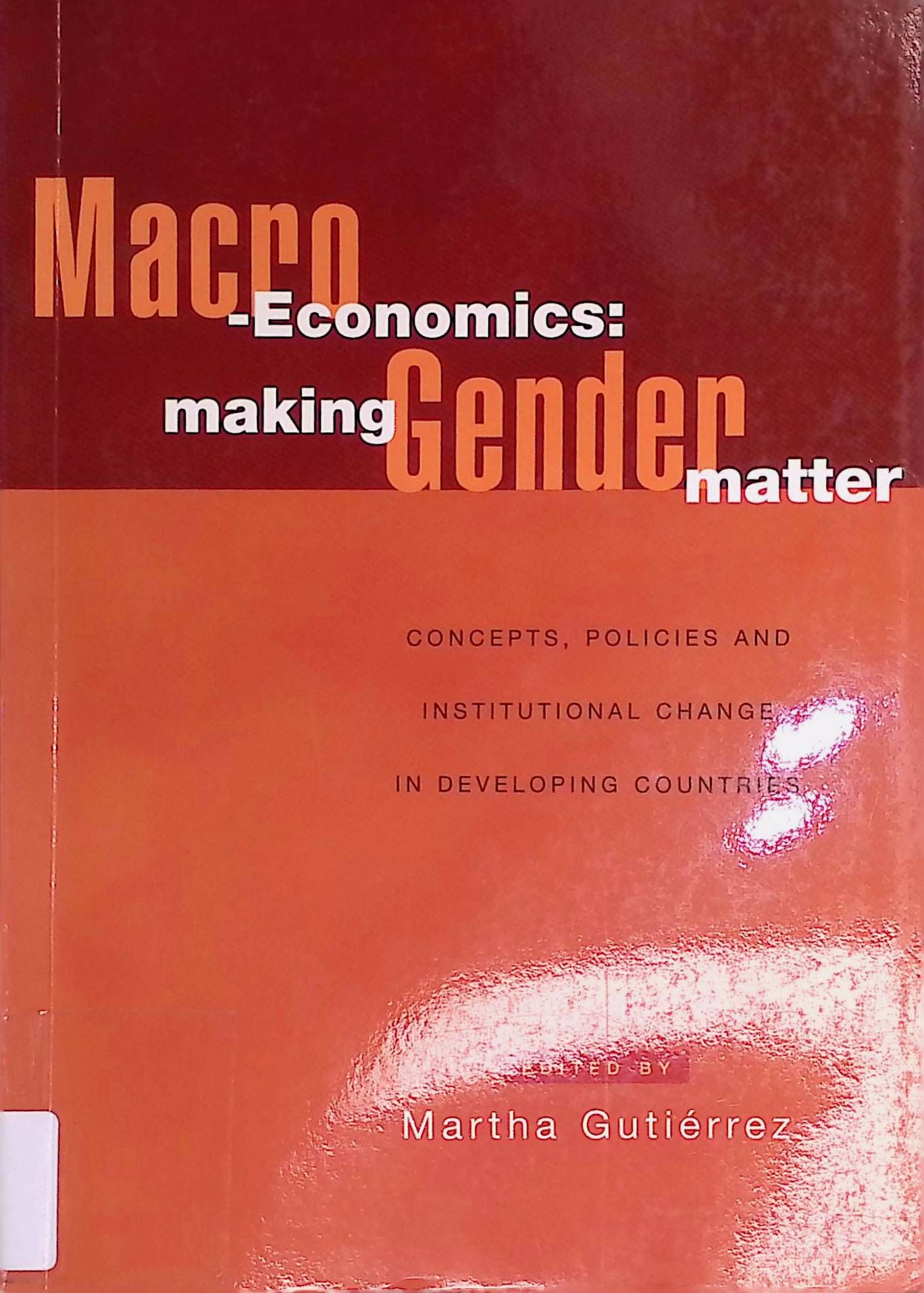 Macro-Economics: Making Gender Matter : Concepts, Policies and Institutional Change in Developing Countries