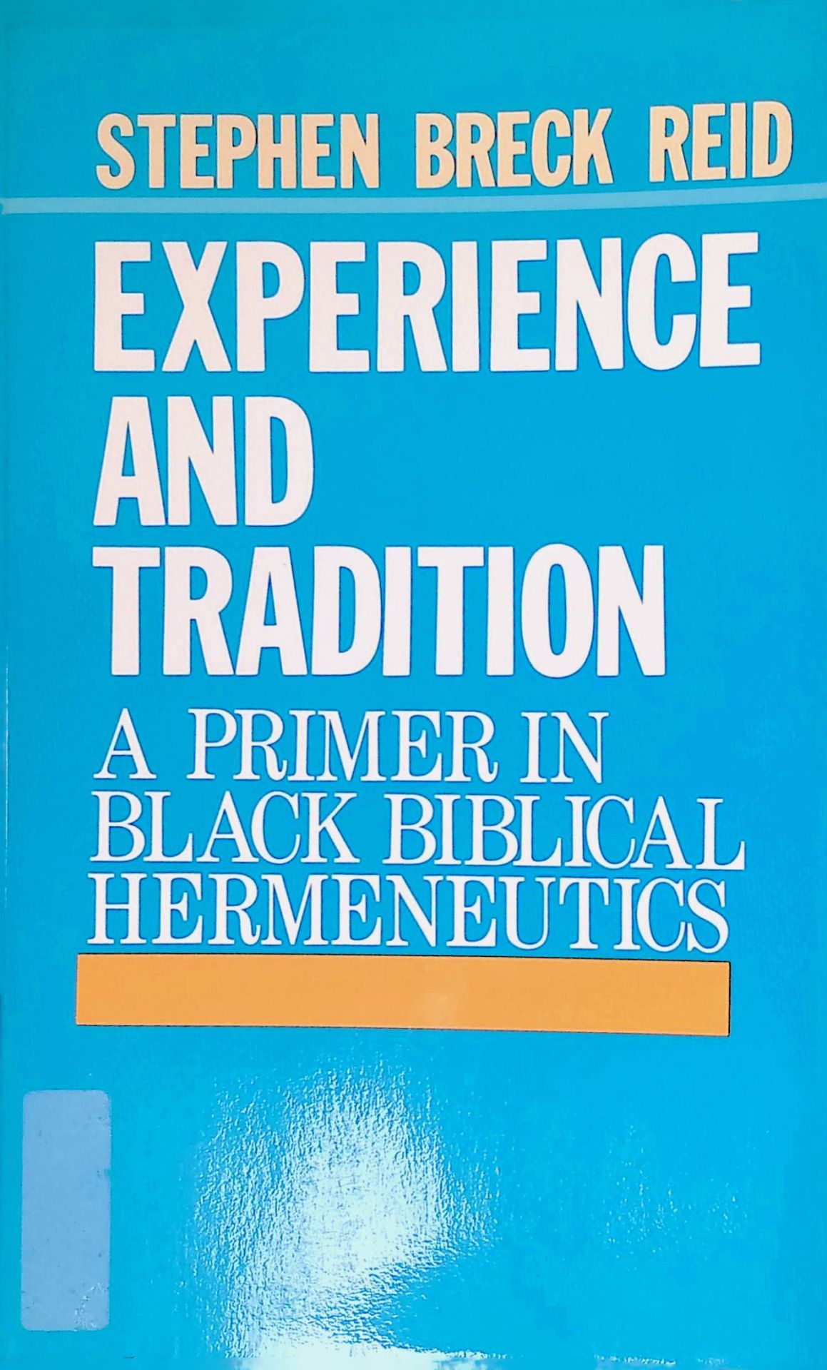Experience and Tradition: Primer in Black Biblical Hermeneutics