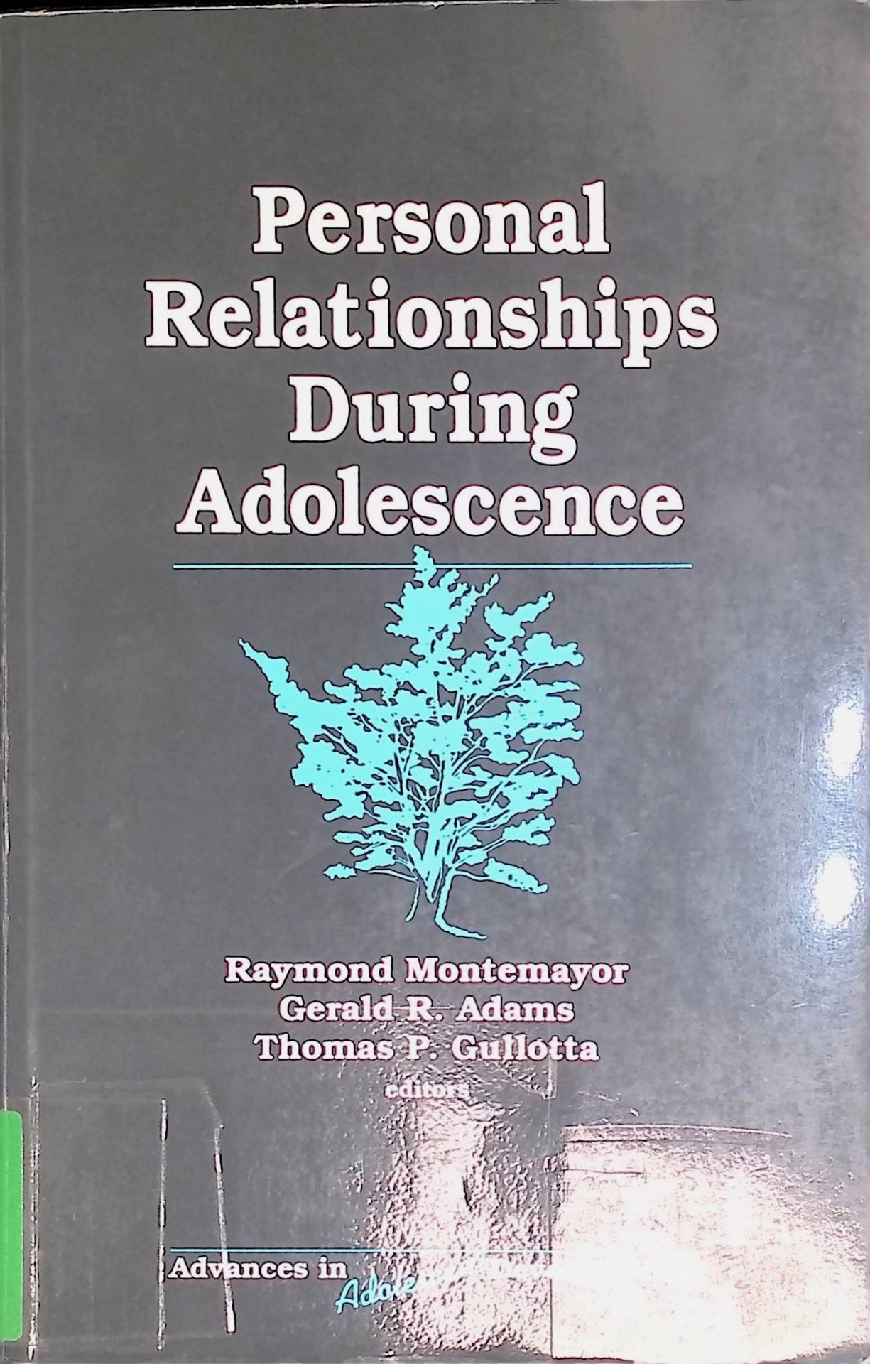 Personal Relationships During Adolescence