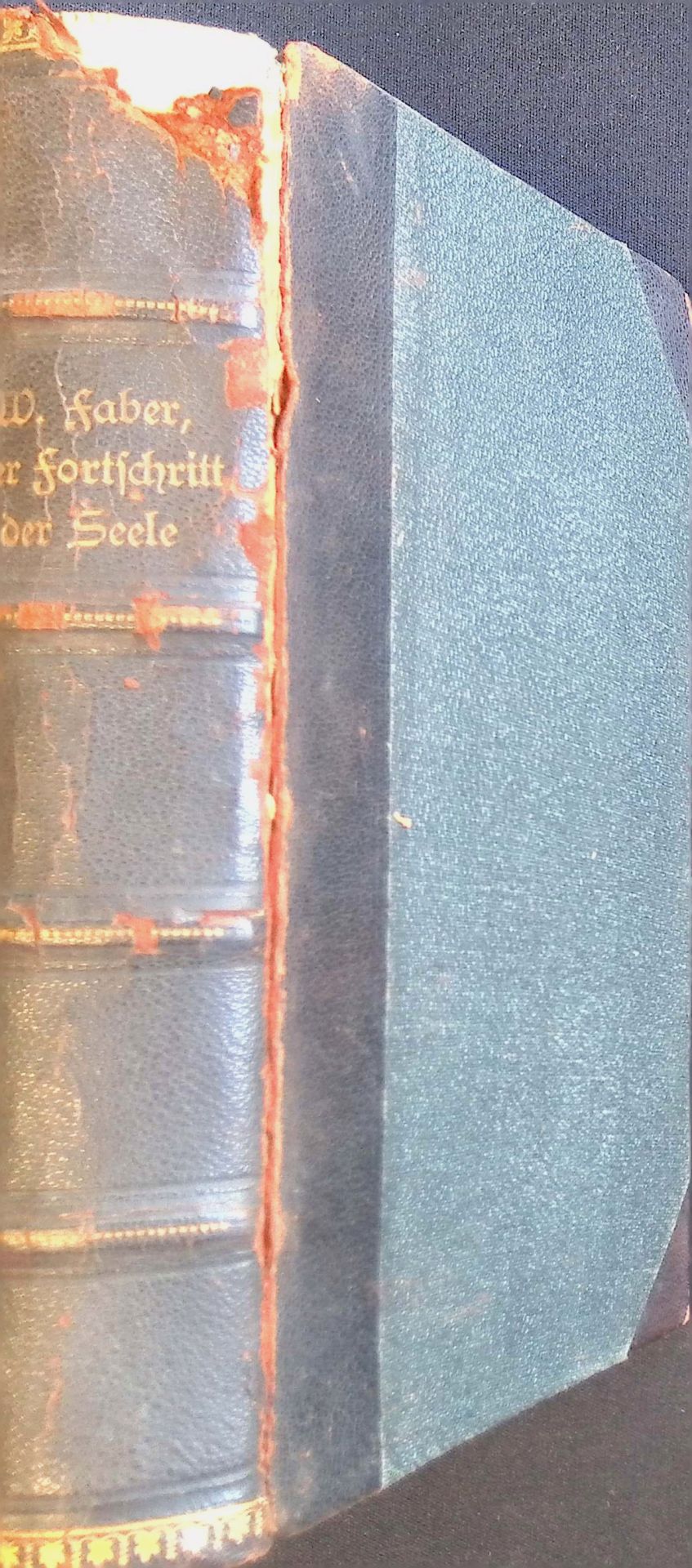 Der Fortschritt der Seele im geistlichen Leben: ein Handbuch für Welt- und Klosterleute