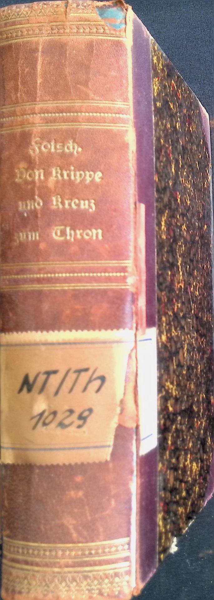Von Krippe und Kreuz zum Thron: Charakterzge aus dem Leben und der Zeit Jesu sowie der vier Hauptapostel
