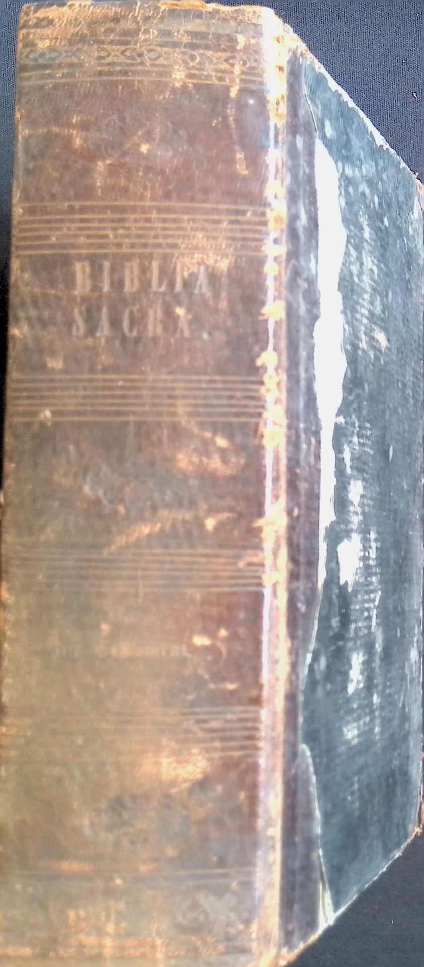 Biblia sacra vulgatae editionis juxta exemplaria ex typographia Apostolica Vaticana Romae 1592 et 1593 inter se collata et ad normam correctionum romanarum exacta auctoritate summi Pontificis Pii IX. (3 Bände in einem Buch) - Tomus I-III