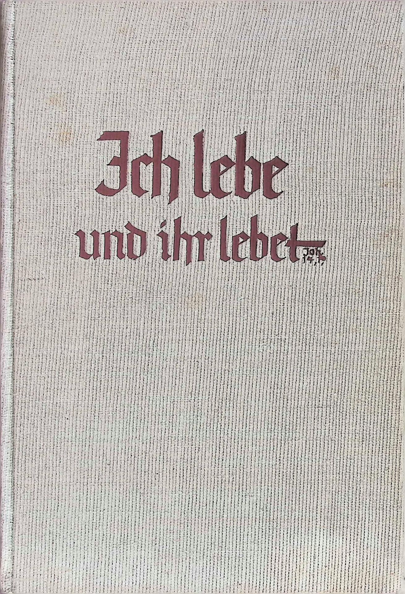 Ich lebe und ihr lebet: Vom Strom des Lebens in der Kirche