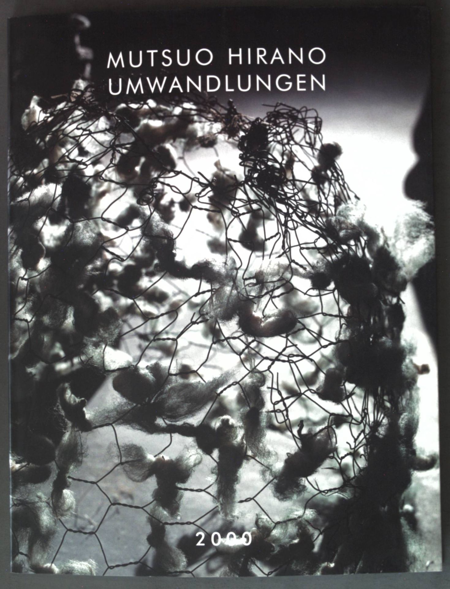 Mutsuo Hirano: Umwandlungen