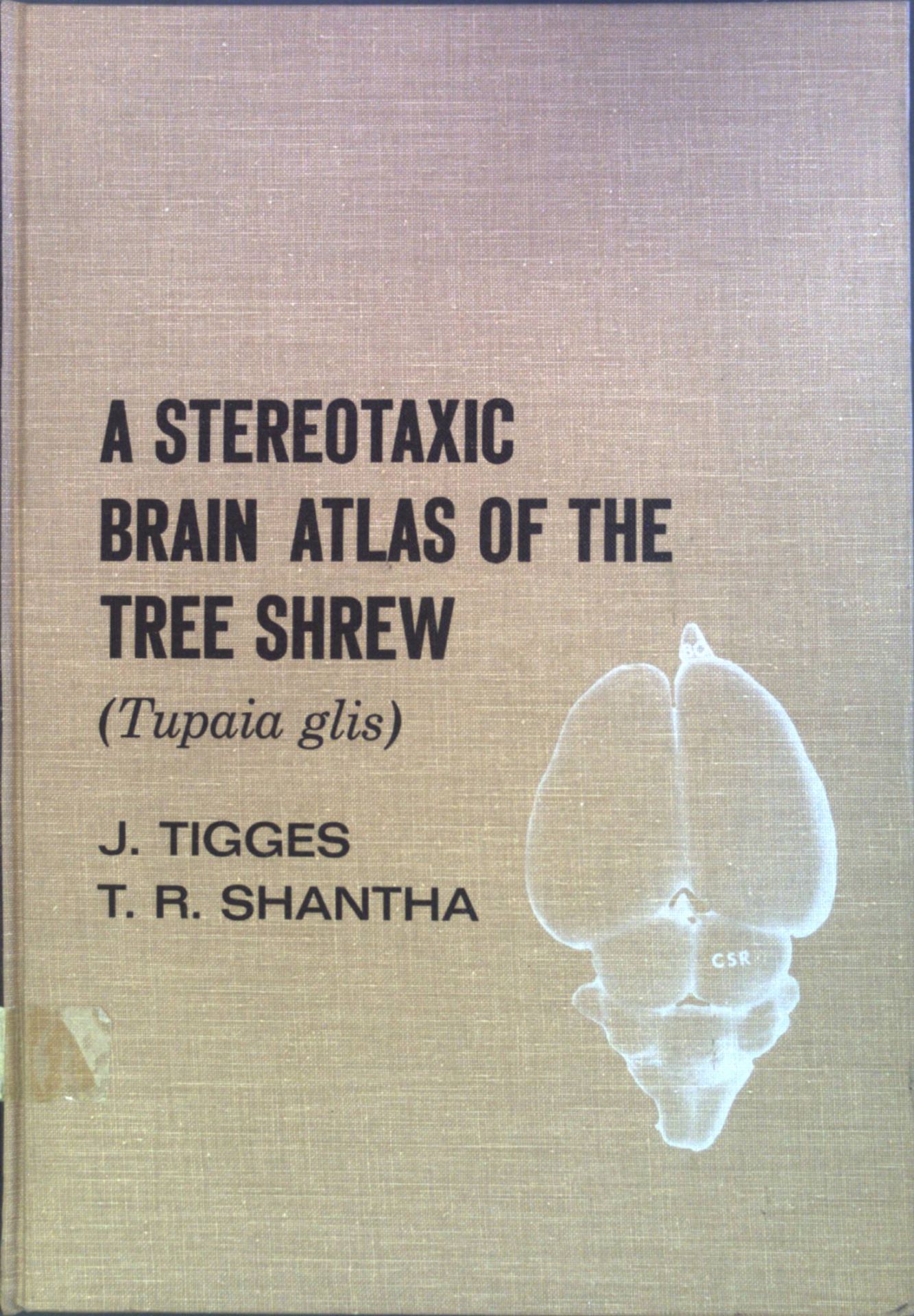 Atlas of the Tree Shrew (Tupaia glis)
