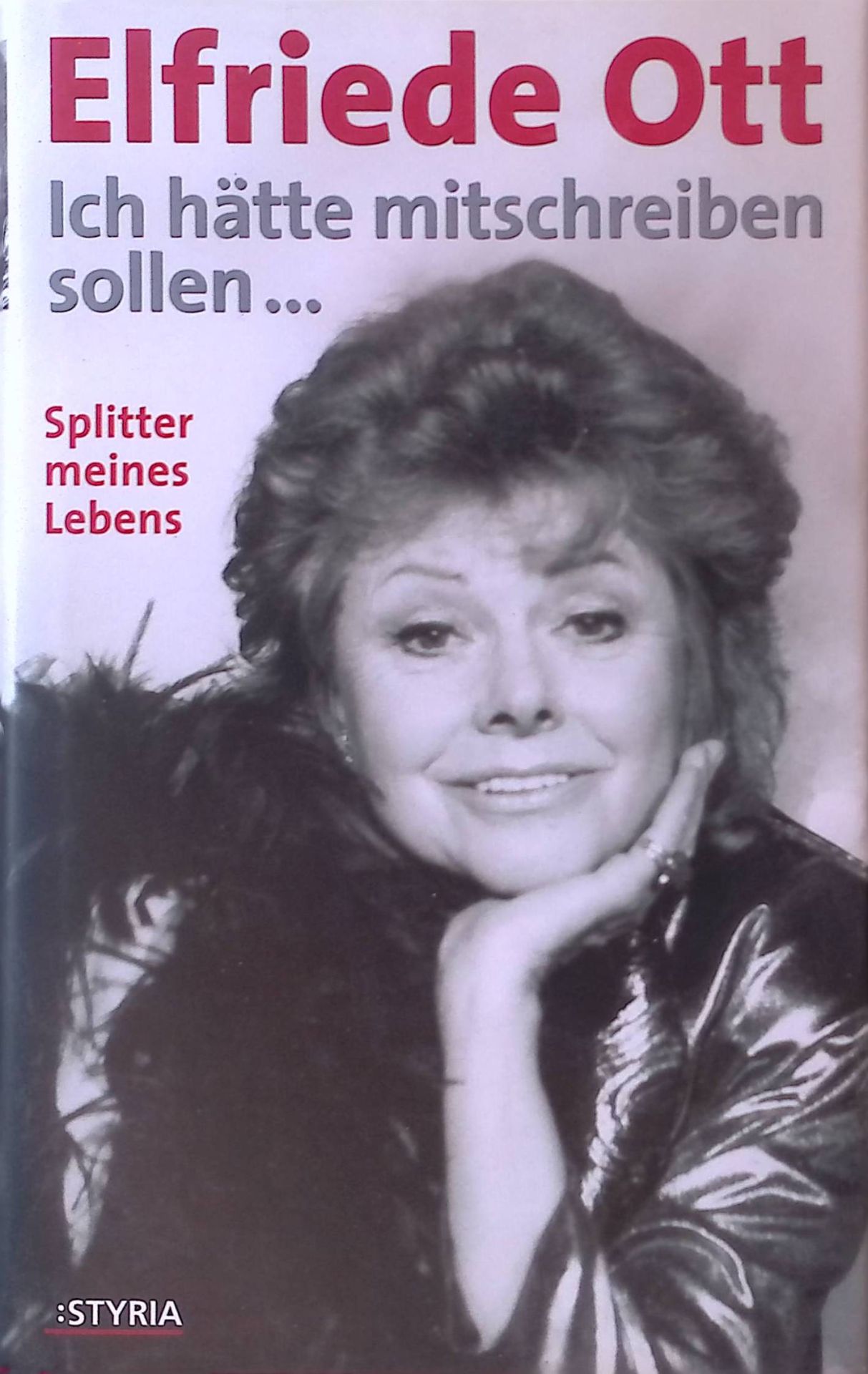 Ich hätte mitschreiben sollen ... : Splitter meines Lebens