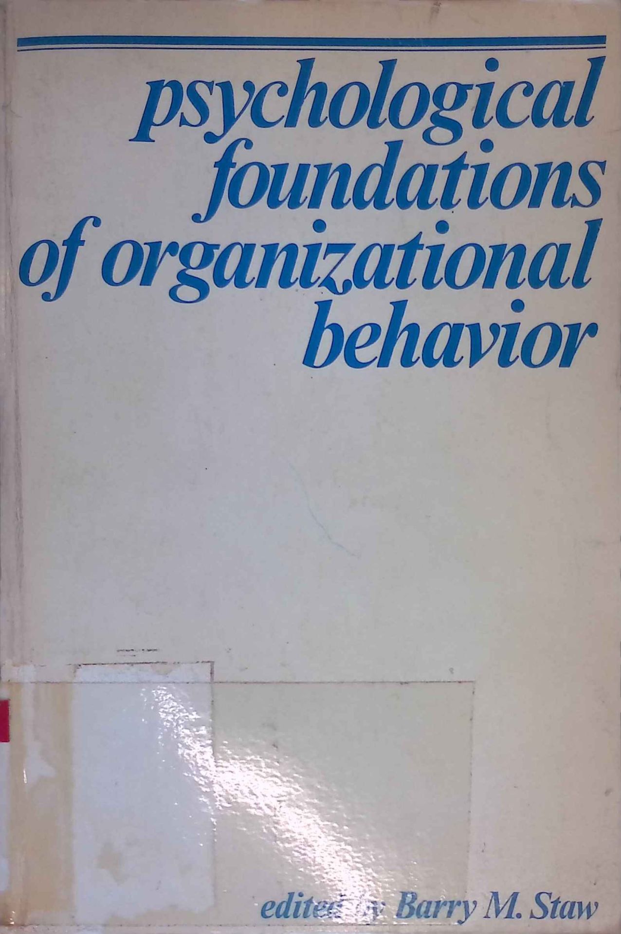 Psychological foundations of organizational behavior