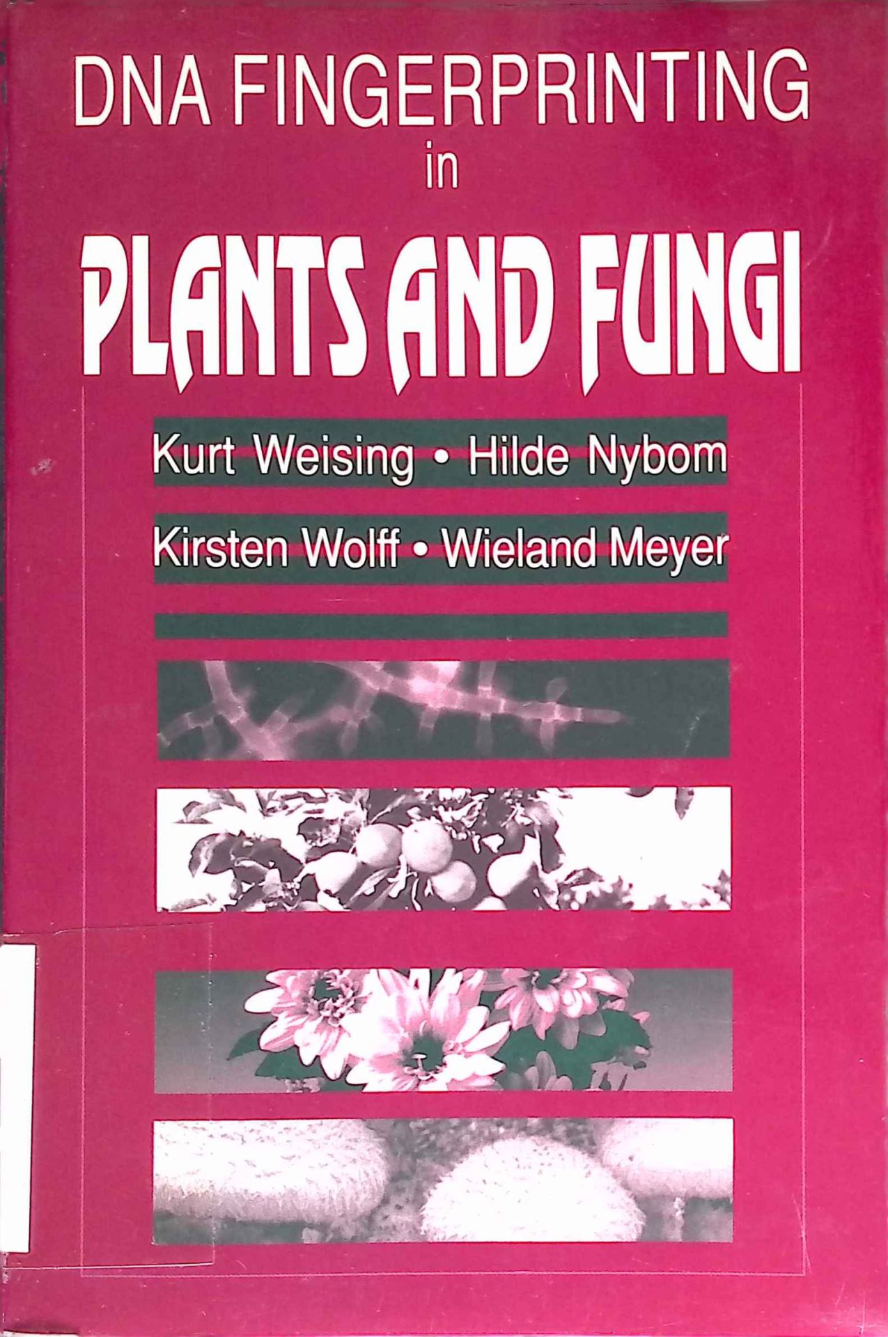 DNA Fingerprinting in Plants and Fungi