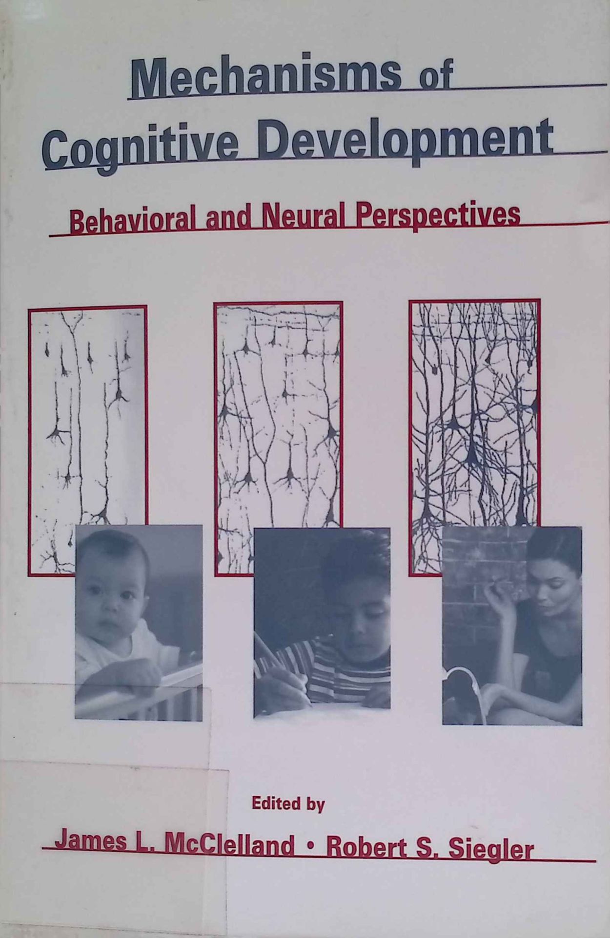 Mechanisms of Cognitive Development: Behavioral and Neural Perspectives