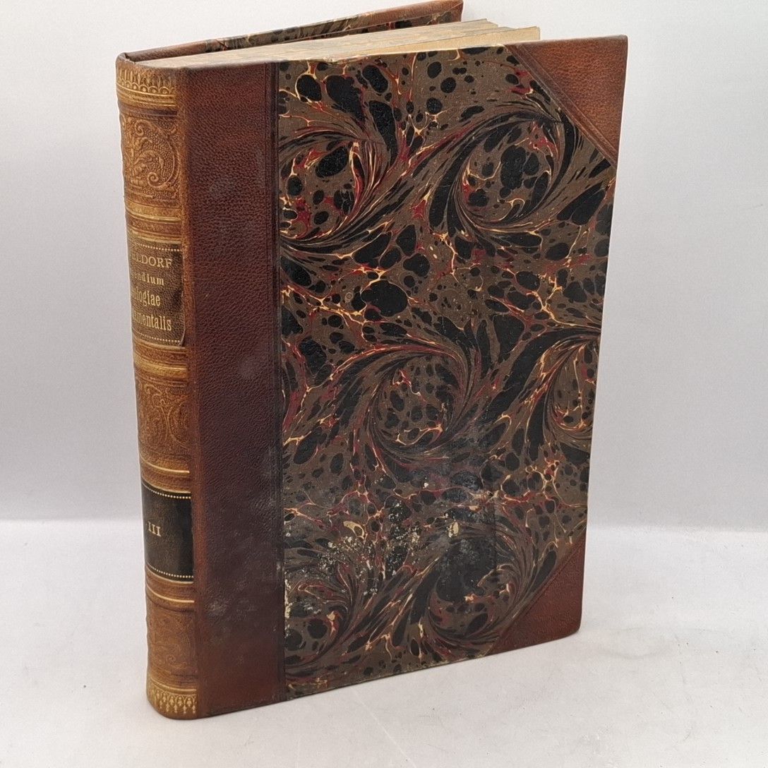 Compendium theologiae fundamentalis. In auditorium usum exaratum (Pars I - III)