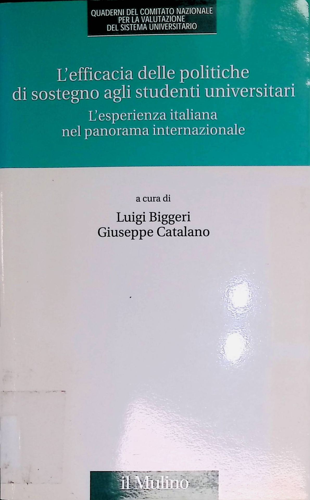 L'efficacia delle politiche di sostegno agli studenti universitari. L'esperienza italiana nel panorama internazionale