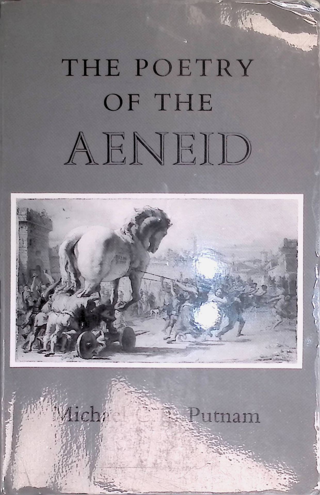 The Poetry of the Aeneid