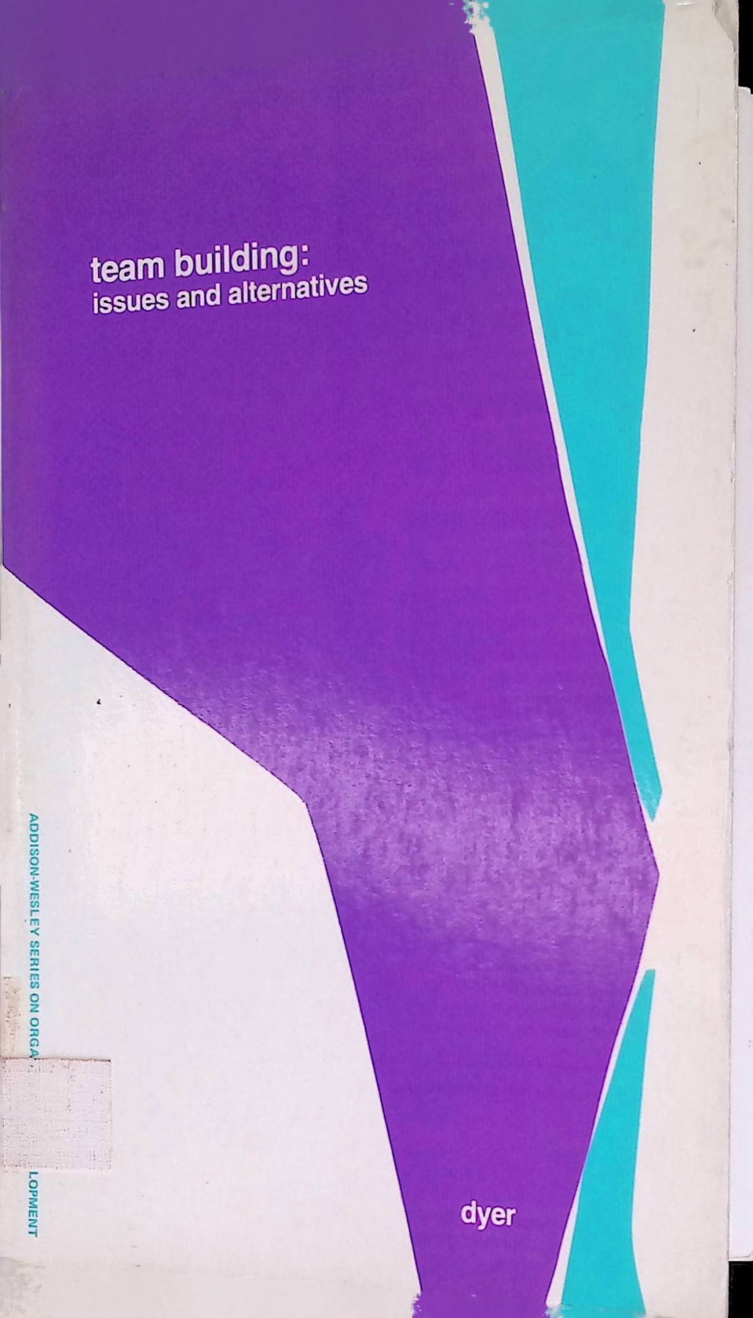 Team Building: Issues and Alternatives
