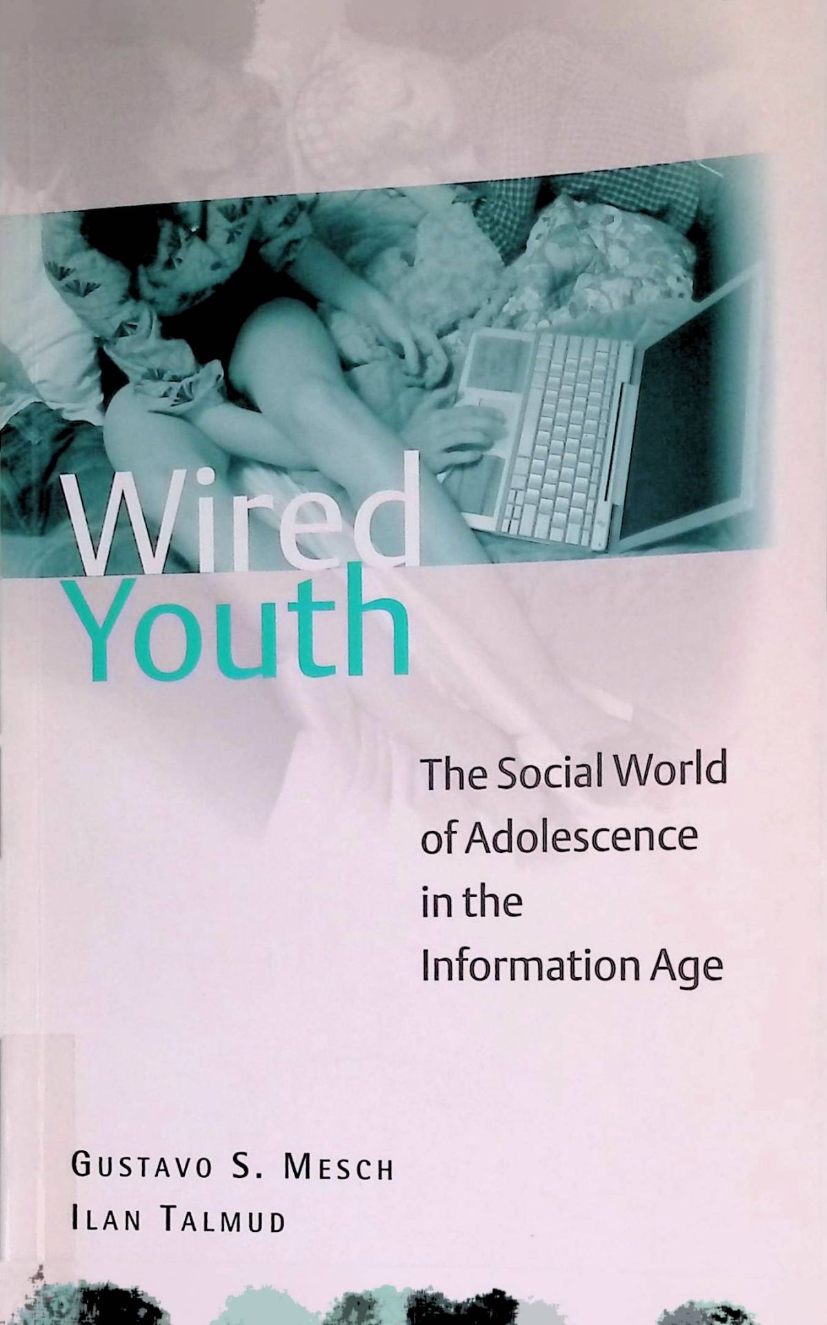 Wired Youth: The Social World of Adolescence in the Information Age