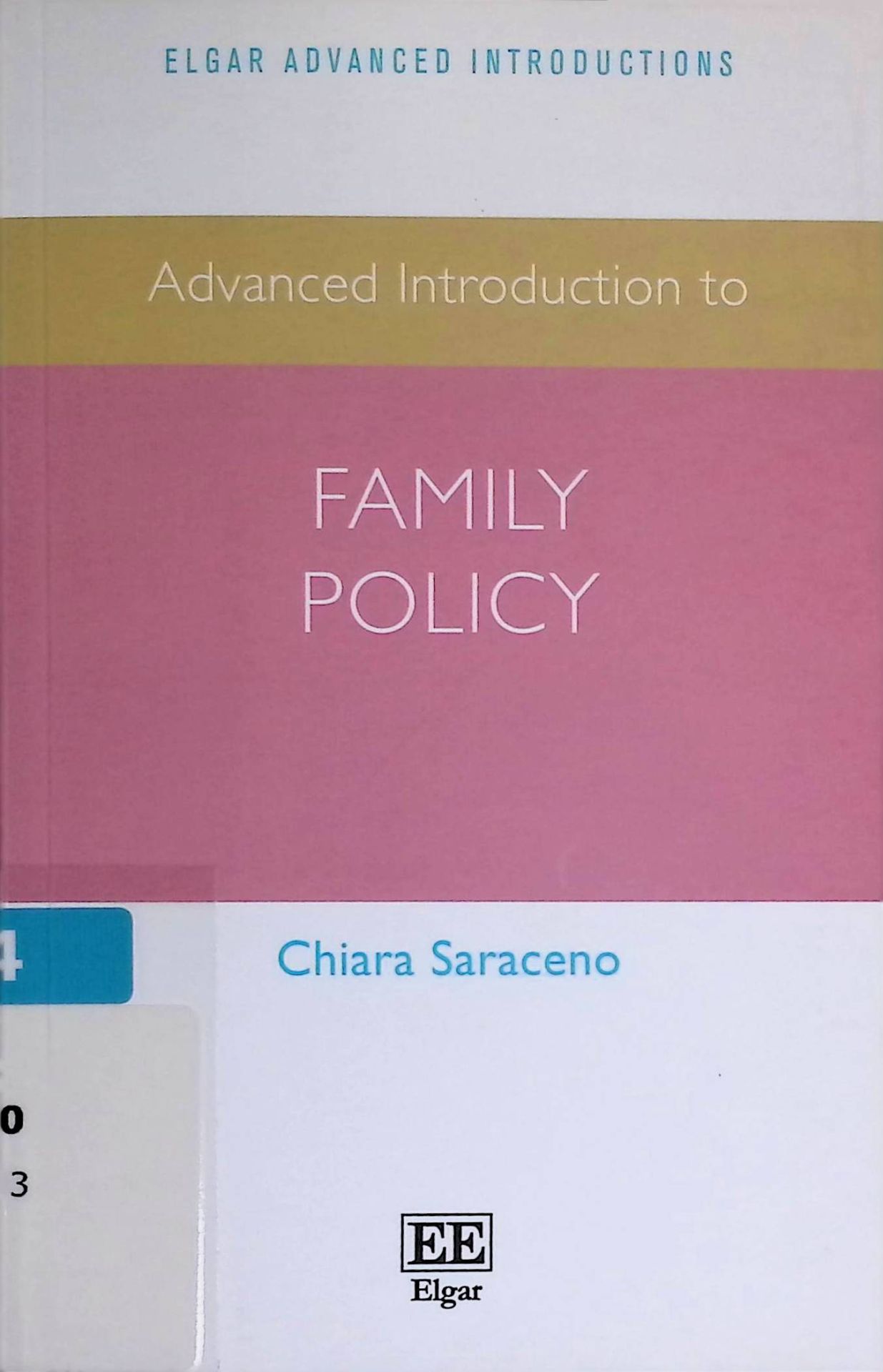 Advanced Introduction to Family Policy