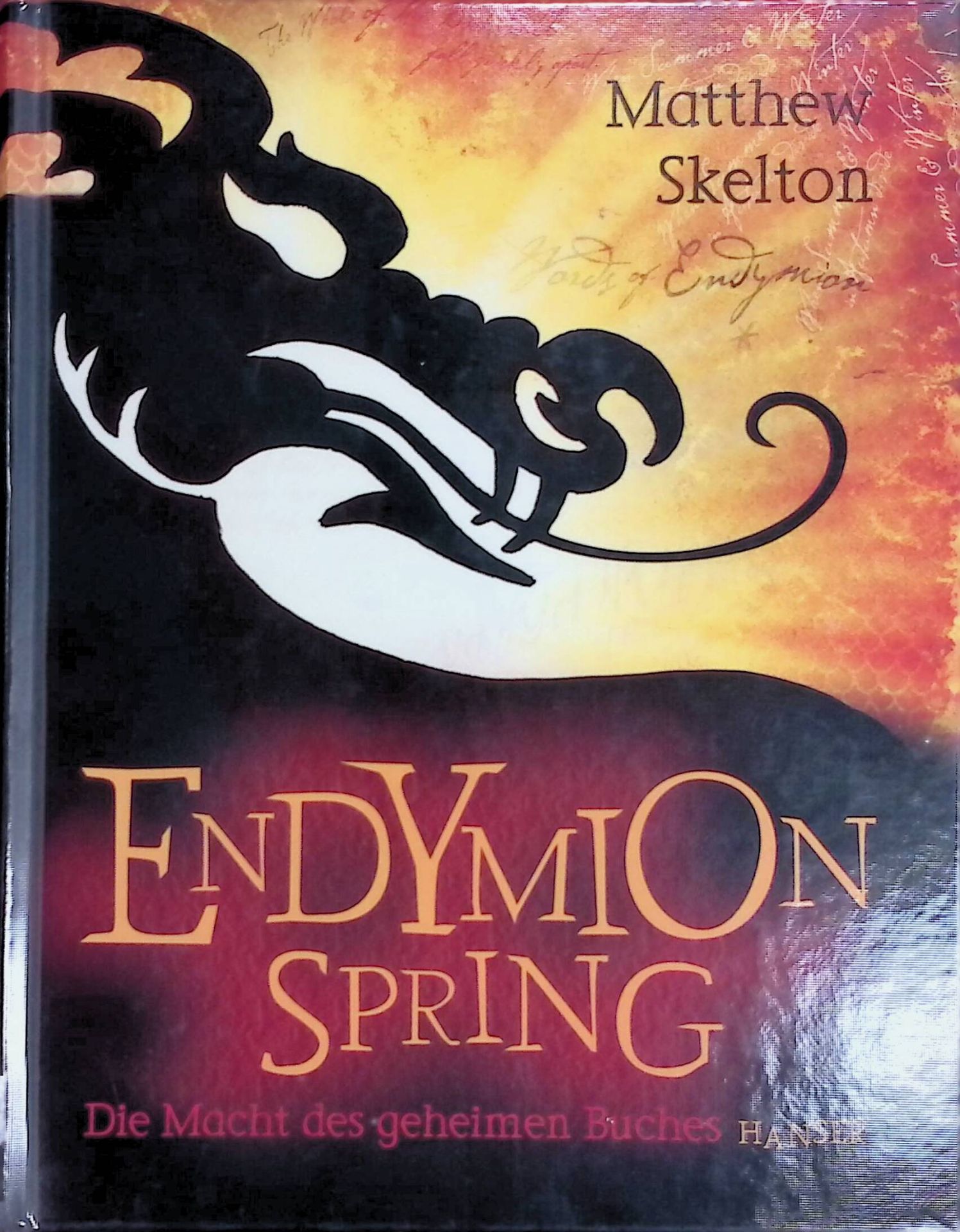 Endymion Spring : die Macht des geheimen Buches
