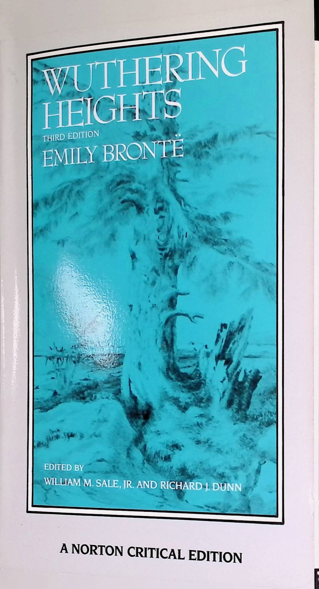 Wuthering Heights, Authoritative Text Backgrounds Criticism